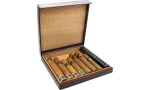 Bulldog by Dunhill putni humidor 10 ljubičasti
